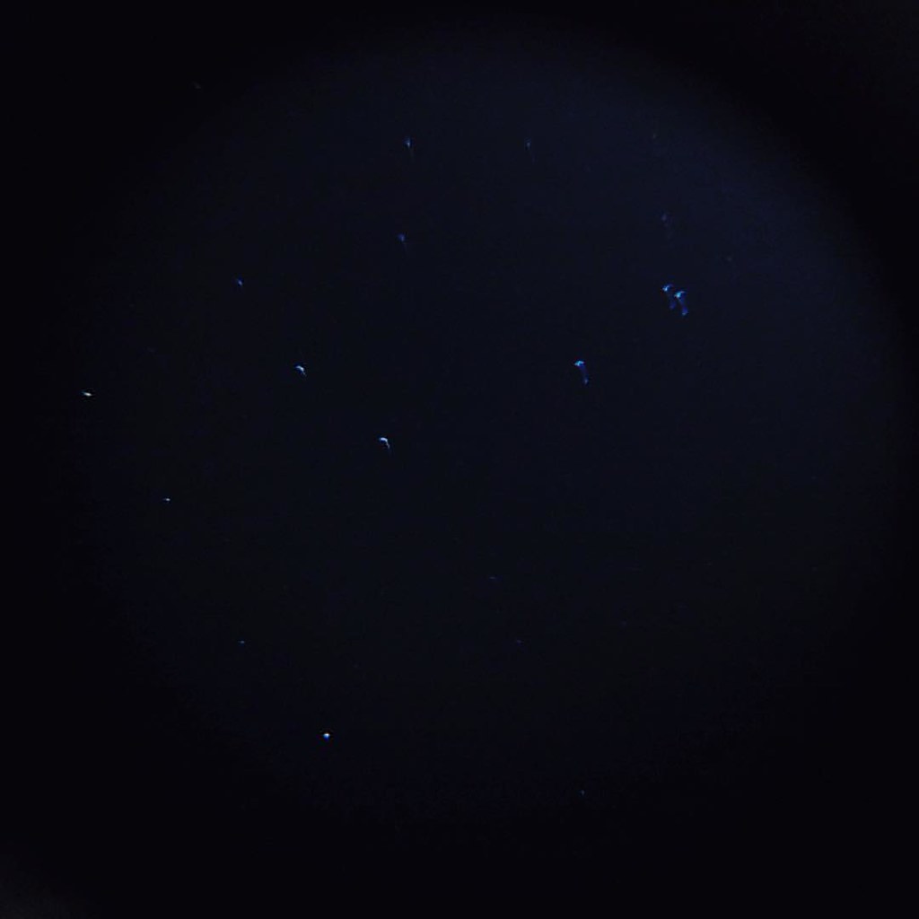 My first quick snap through my new Celestron 130mm aperture Newtonian reflector telescope with SkyAlign Go-To Computer! Boy that sounds cool! Can't wait to get a camera mount so I'll show you some real crisp astrophotography! 👏😆✨:al
