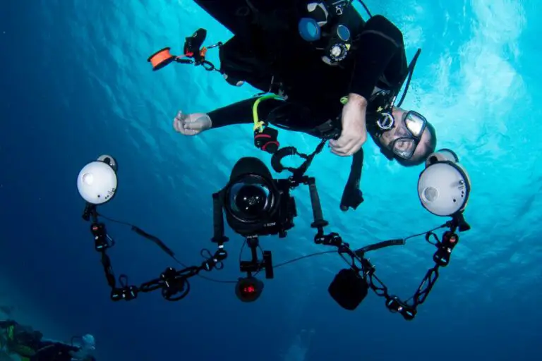 Diving into Underwater Videography: Choosing the Perfect Camera Setup