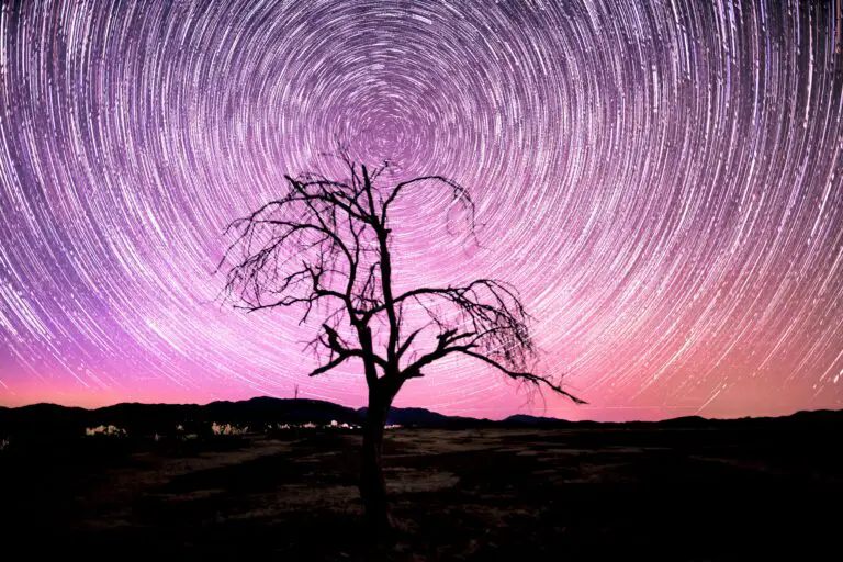Mastering Star Trails Photography with Long Exposure