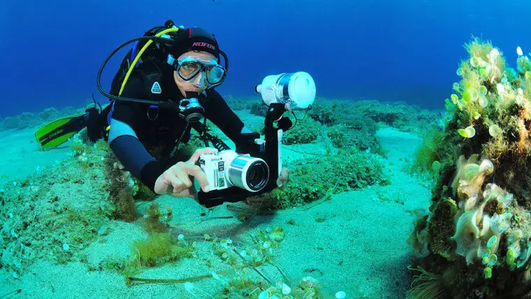 The best underwater cameras for snorkeling adventures